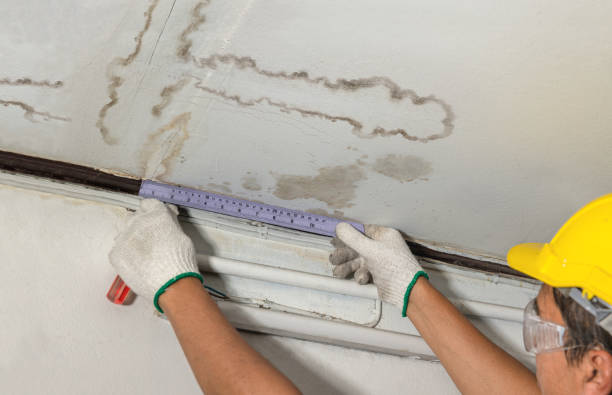 Reliable Flood Cleanup contractor in Pleasant City, OH by Water Damage Irwin